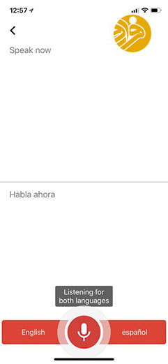 قابلیت جالب گوگل ترنسلیت که لازم است بدانید