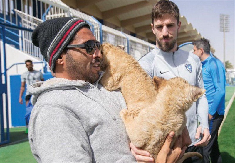 الهلال