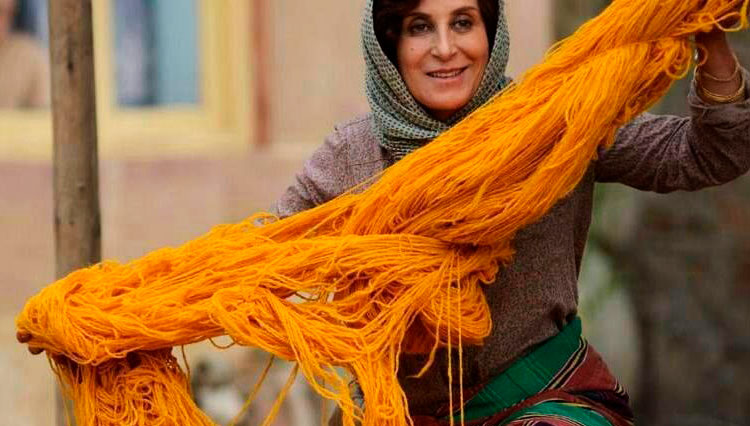 فیلم «بنفشه آفریقایی»؛ نقد و بررسی و هر آنچه باید درباره آن بدانید