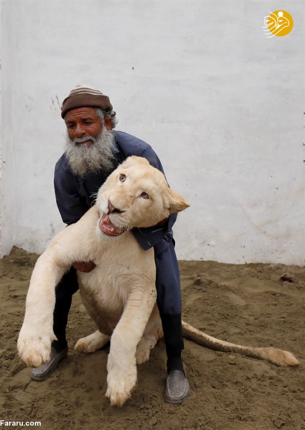 (تصاویر)