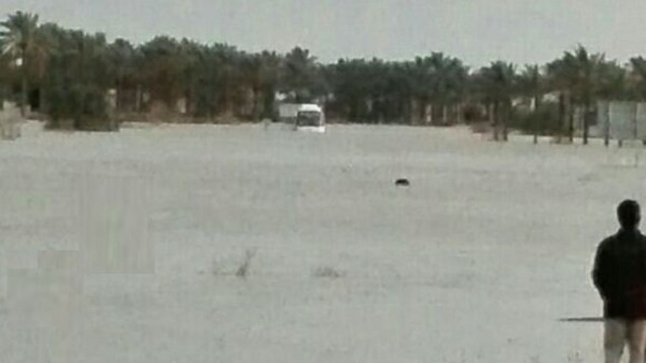نجات گردشگر خارجی