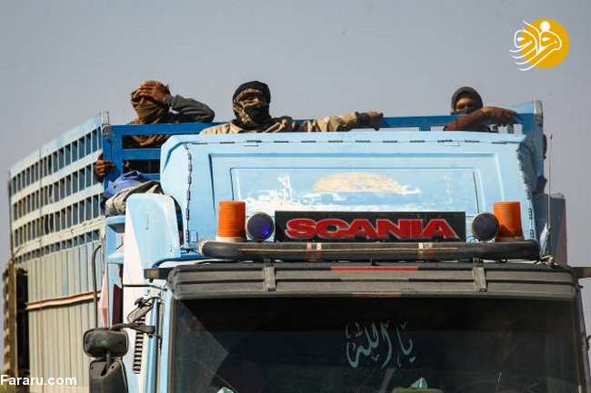 (تصاویر)