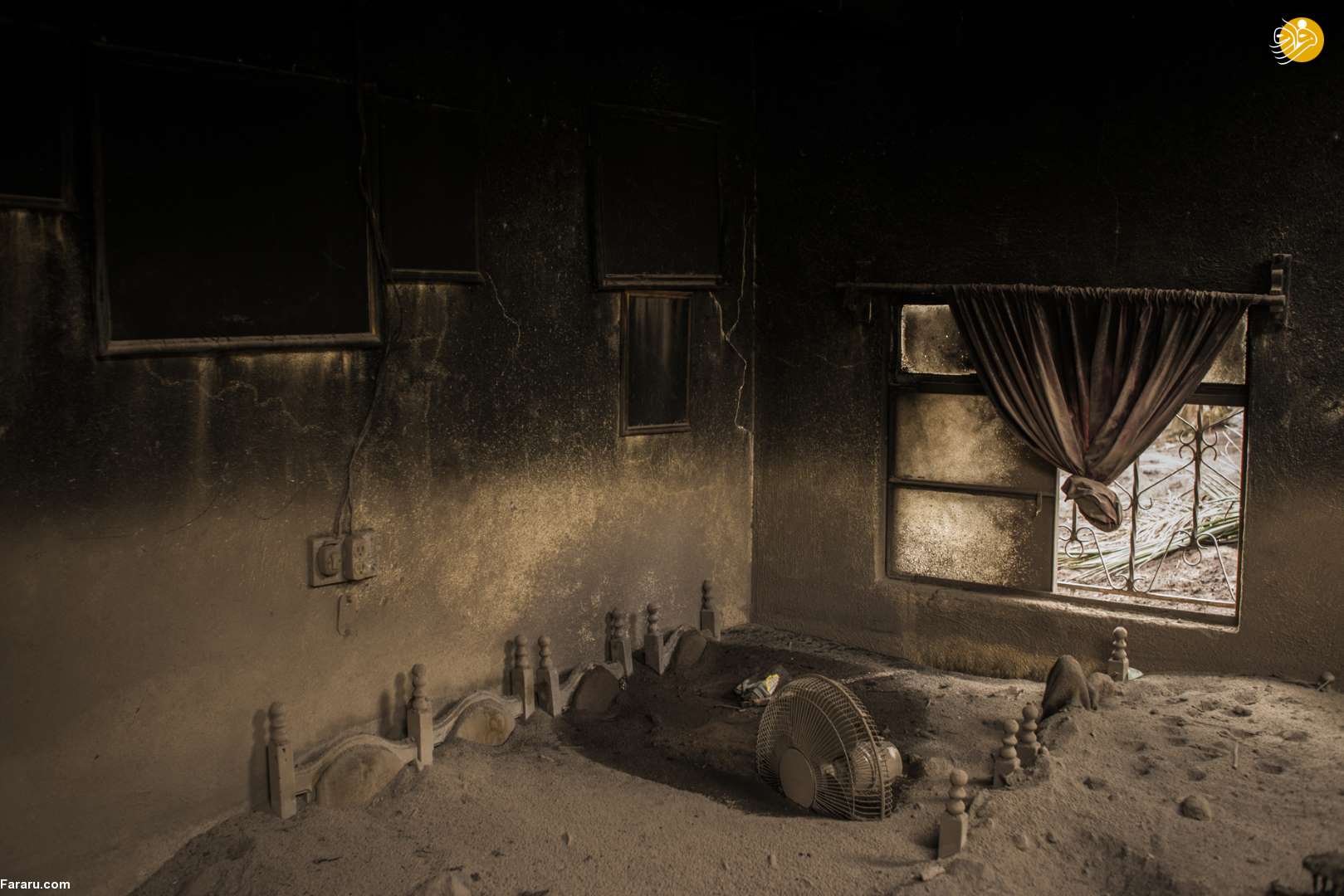 (تصاویر)