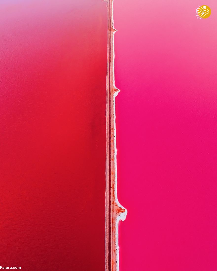 (تصاویر)