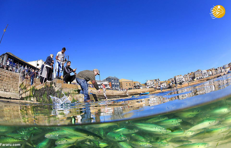 (تصاویر)