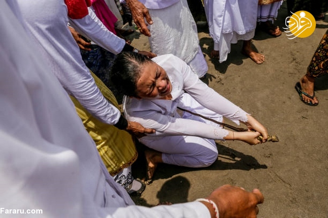 (تصاویر)