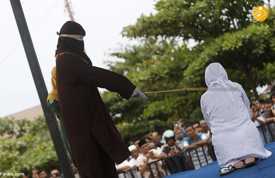 (تصاویر)