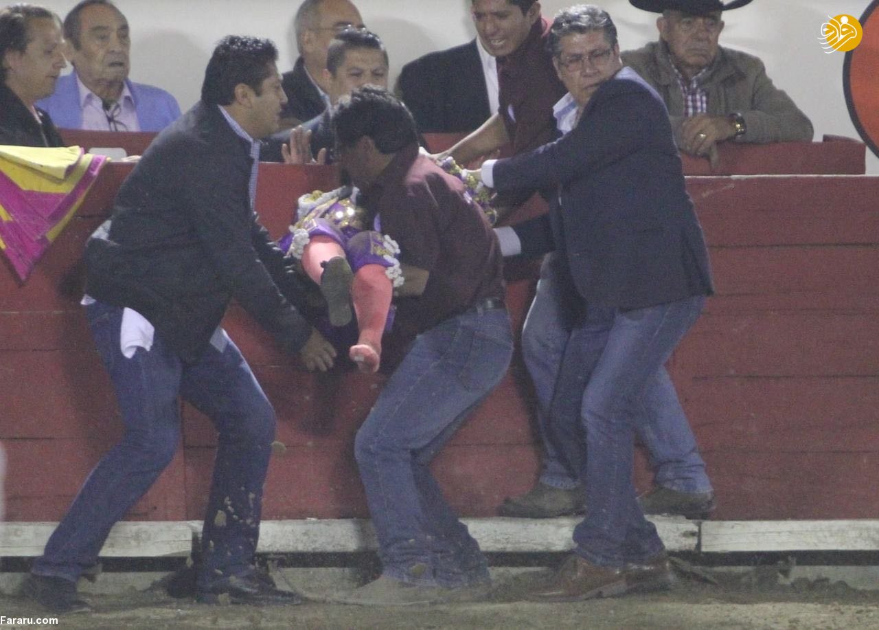 (تصاویر)
