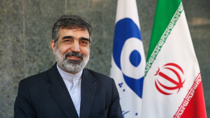 سخنگوی سازمان انرژی اتمی: زمان مذاکره نیست