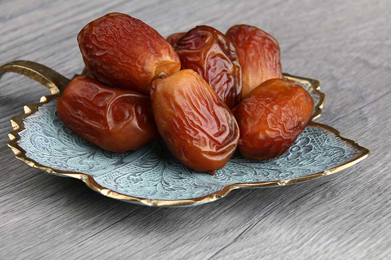 جدیدترین قیمت انواع خرما در آستانه رمضان جدیدترین قیمت انواع خرما در آستانه رمضان