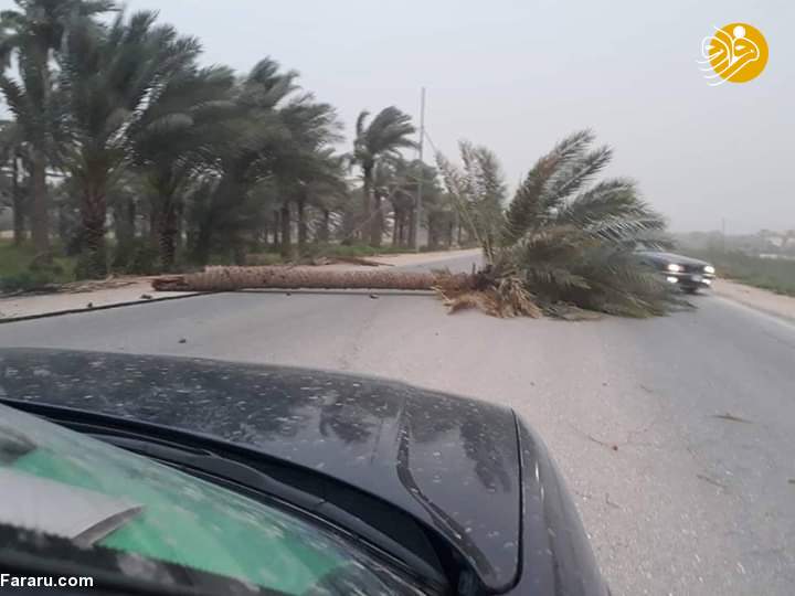 (تصاویر)