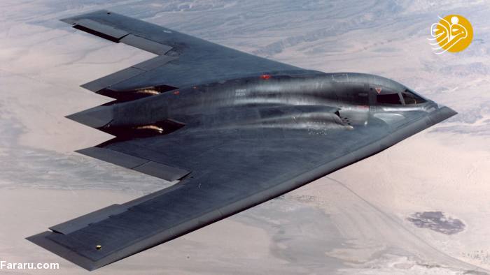 (تصاویر) شباهت یک پرنده با بمب افکن B-2