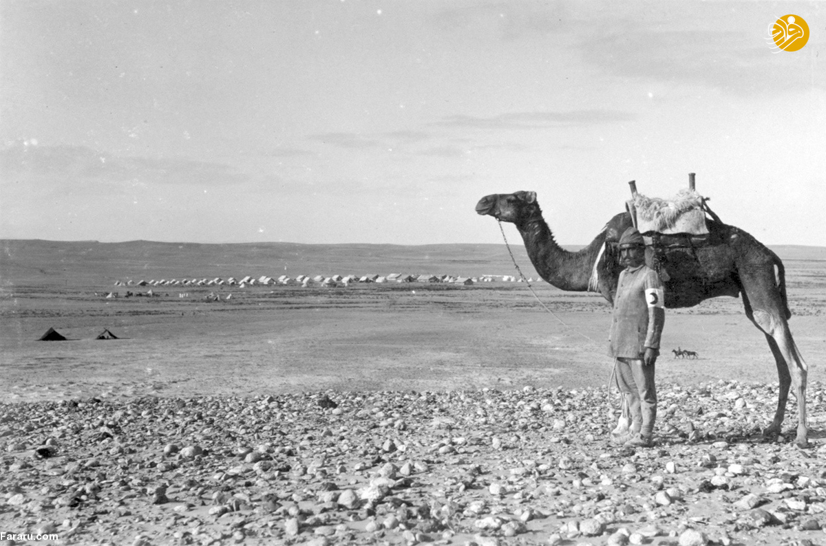 (تصاویر)