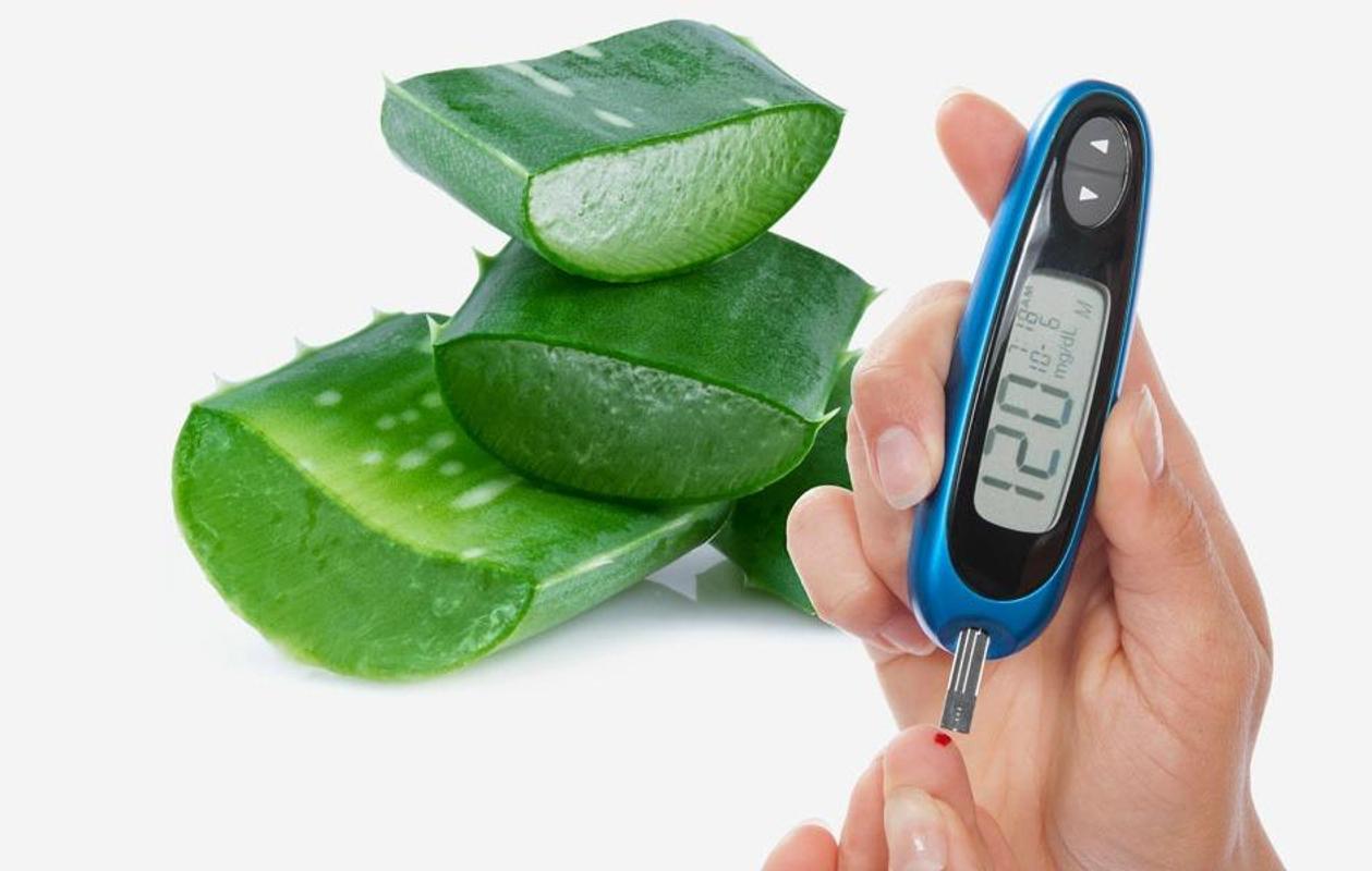 خواص شگفت‌انگیز آلوئه ورا؛ از شفاف‌کننده پوست و مو تا درمان دیابت