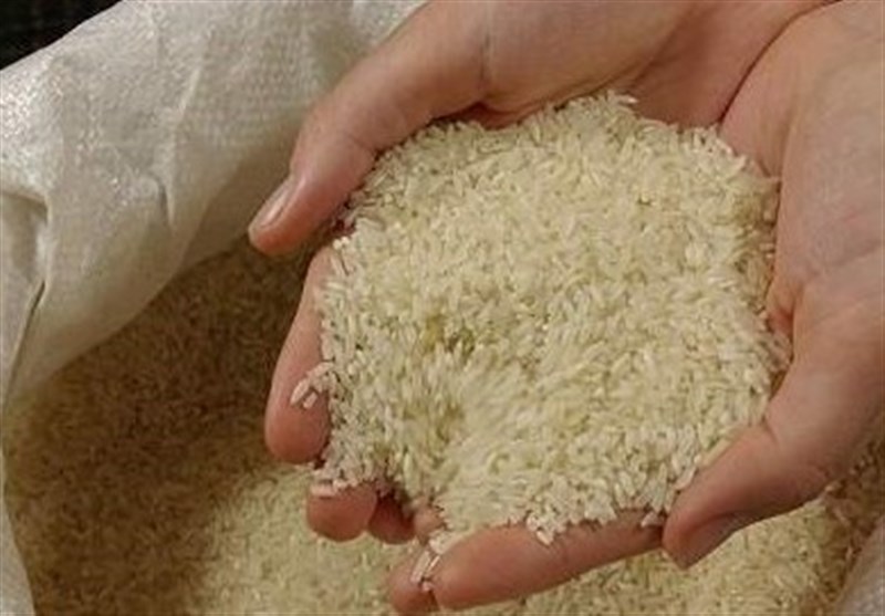امسال چقدر برنج ایرانی تولید میشود؟ امسال چقدر برنج ایرانی تولید میشود؟