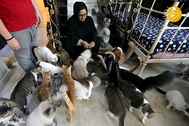 (تصاویر)