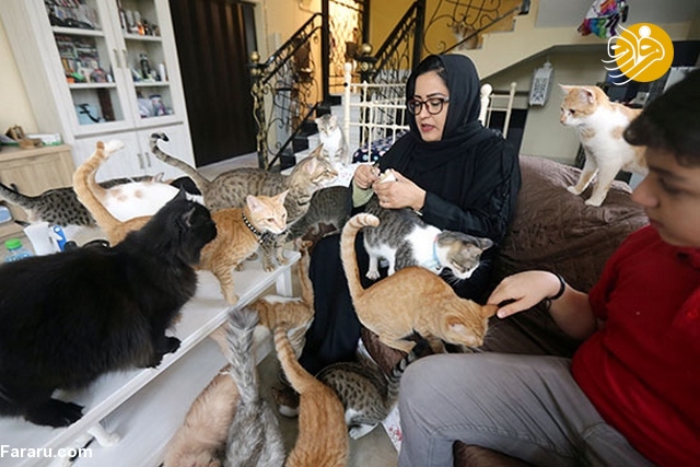 (تصاویر)