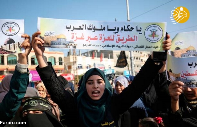 (تصاویر)