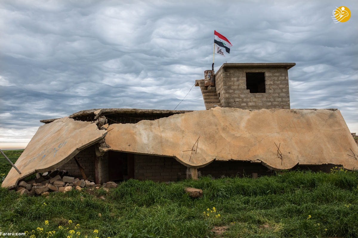(تصاویر)