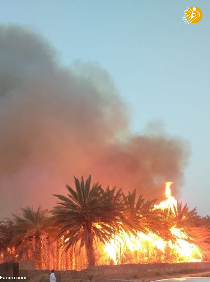 (تصاویر)