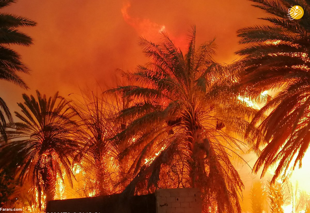 (تصاویر)