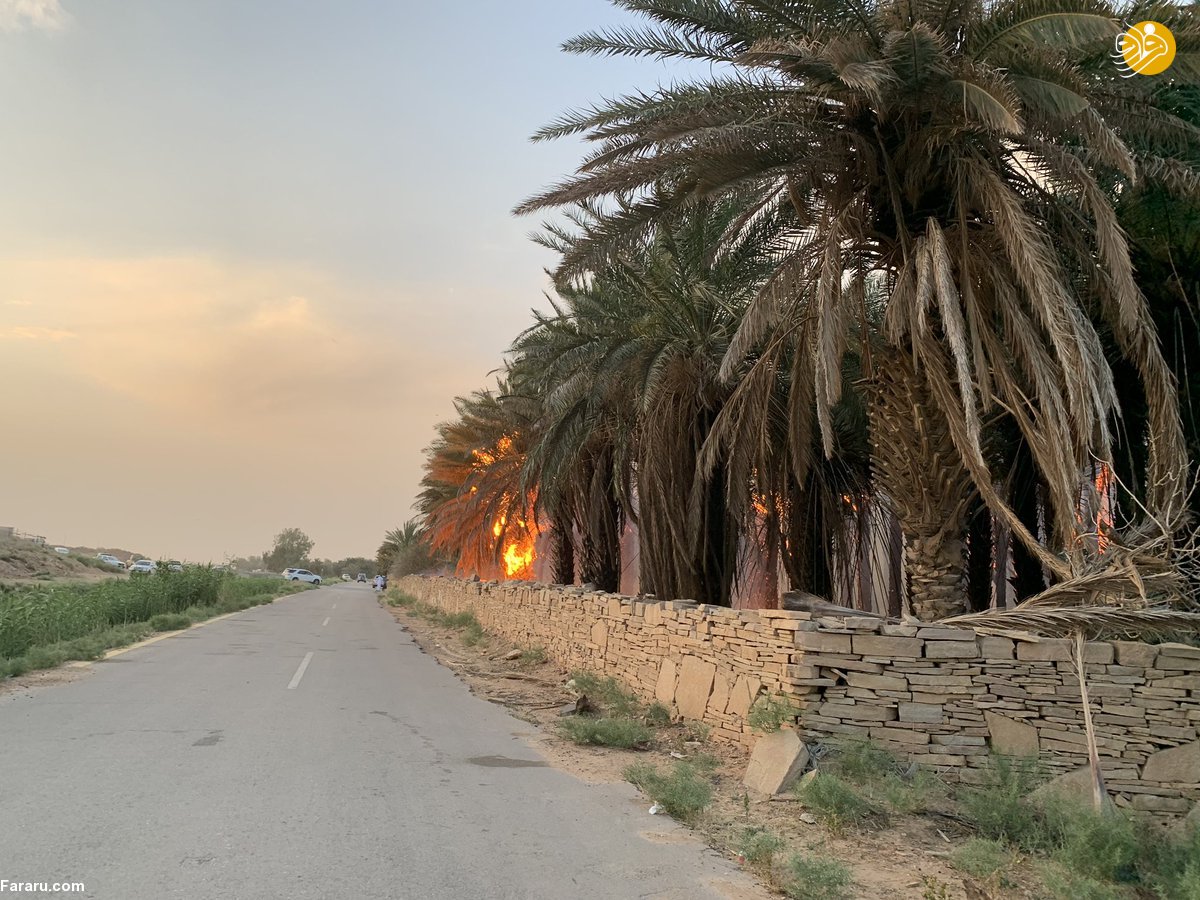 (تصاویر)
