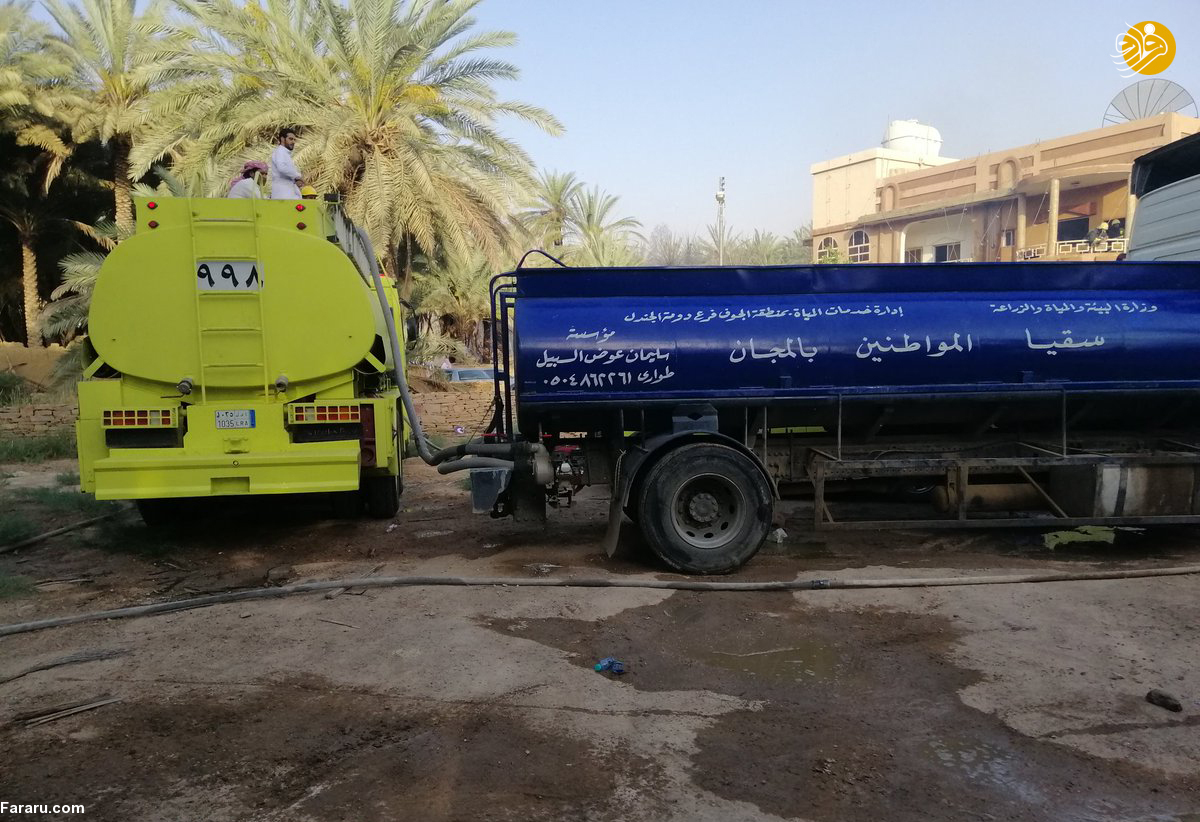 (تصاویر)