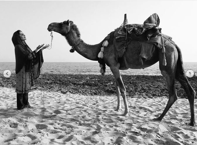 (عکس) تصویری از الناز شاکردوست و دوست بادیه نشینش (عکس) تصویری از الناز شاکردوست و دوست بادیه نشینش