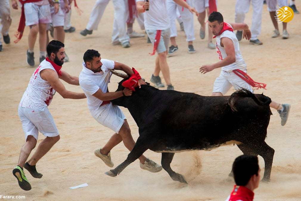 (تصاویر)