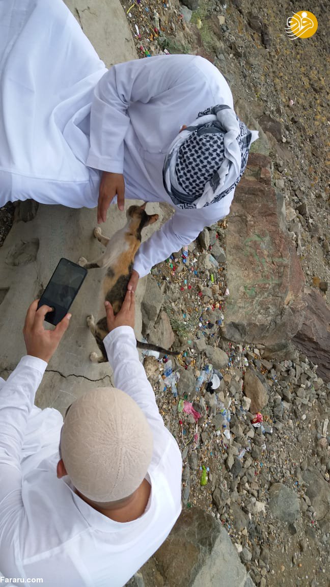 (تصاویر)