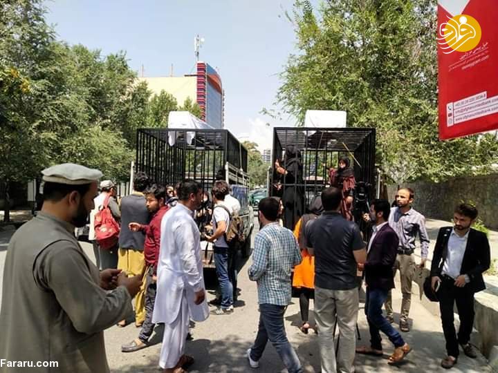 (تصاویر)