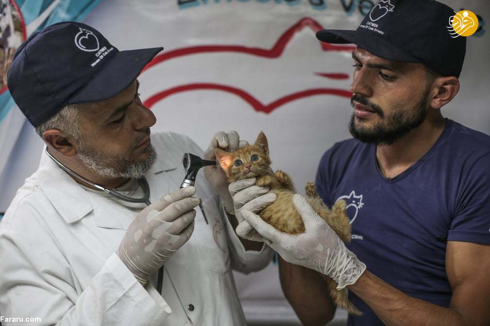 (تصاویر)