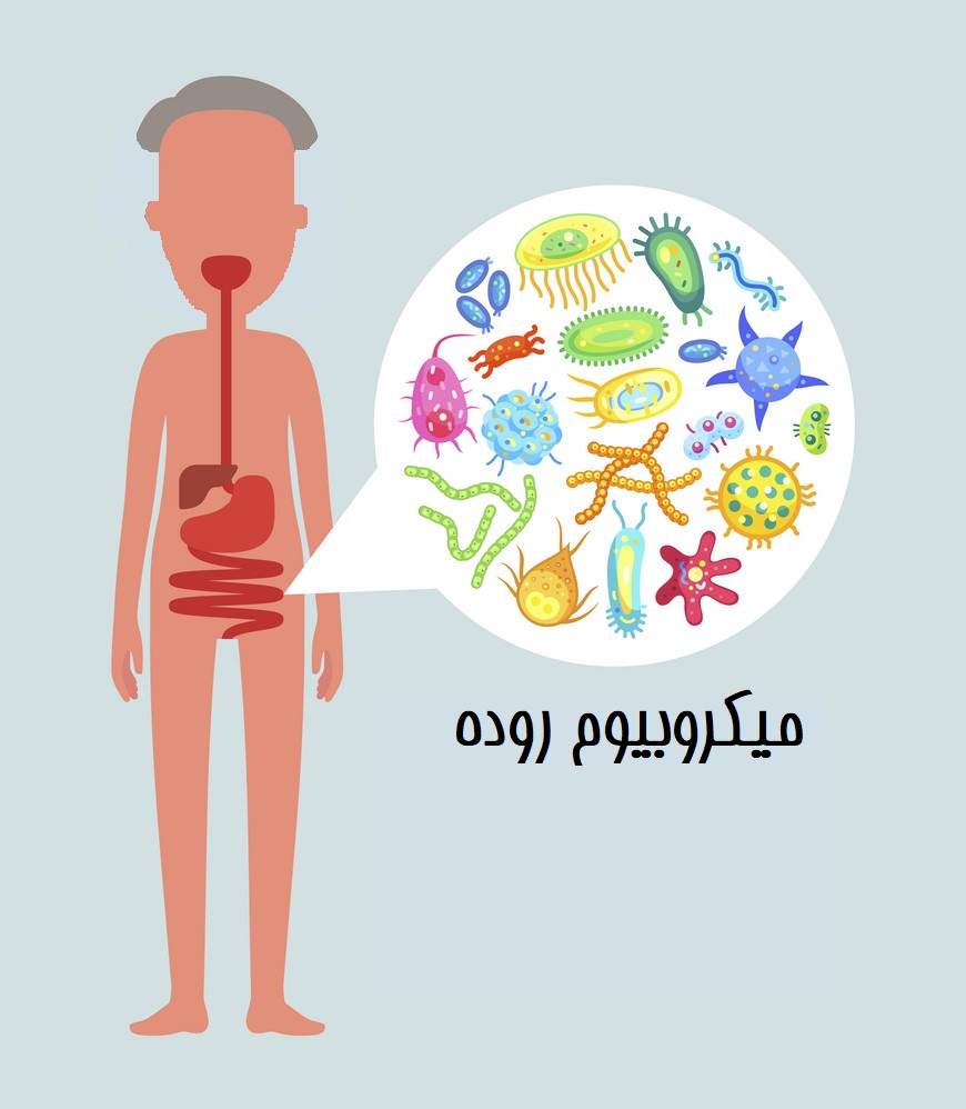 مراقب باکتری‌های روده‌ی خود هستید؟