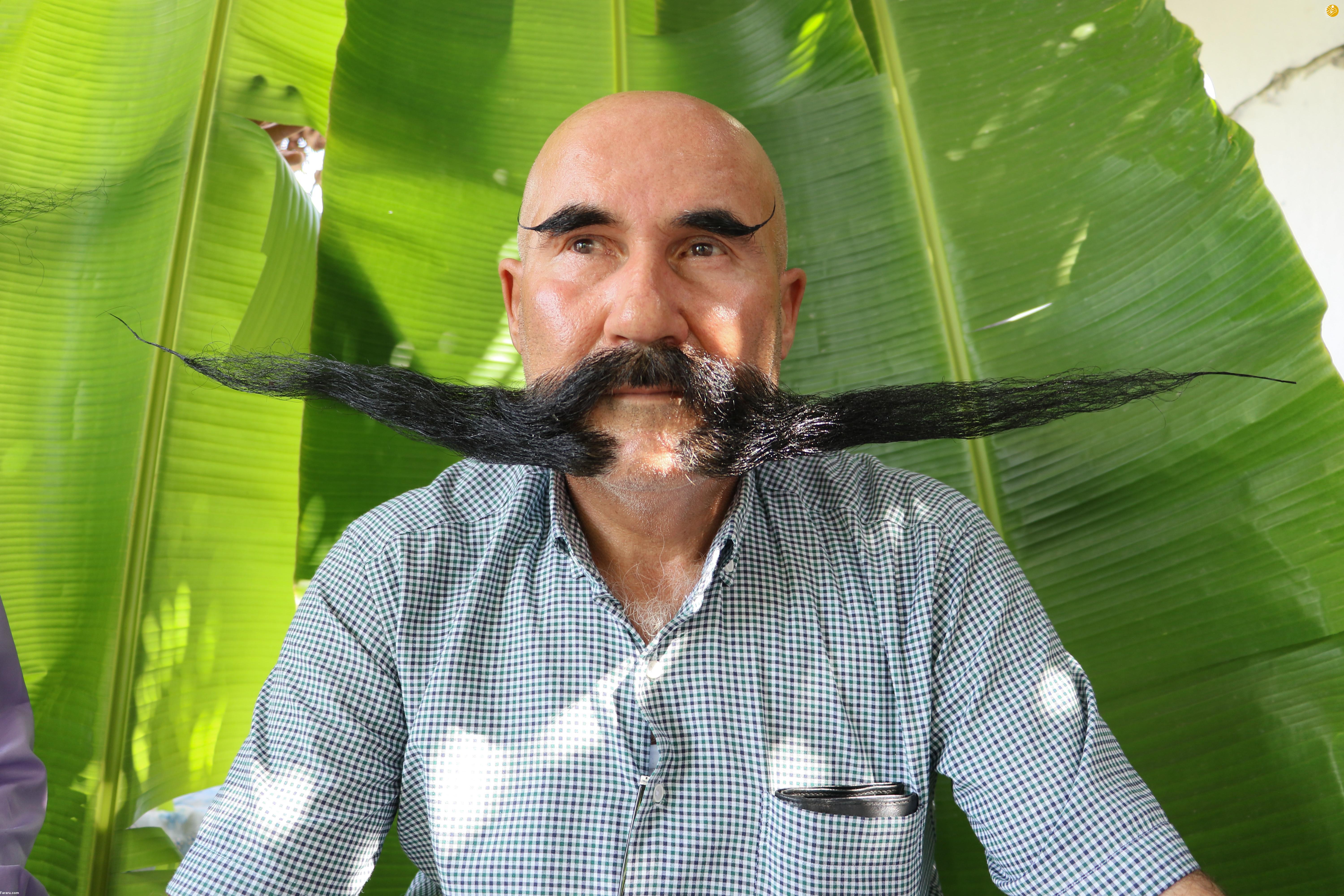 (تصاویر)