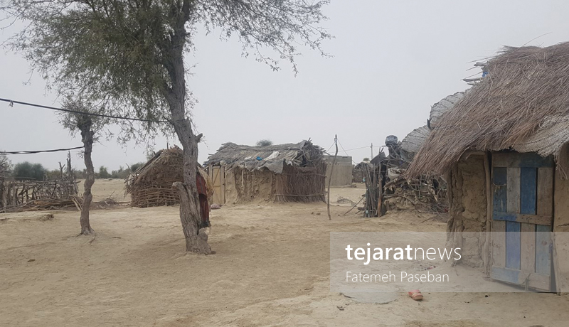 (تصاویر) چابهار؛ از کودکان بیشناسنامه تا آرزوی غذای گوشتی (تصاویر) چابهار؛ از کودکان بیشناسنامه تا آرزوی غذای گوشتی
