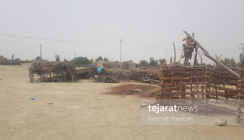 (تصاویر) چابهار؛ از کودکان بیشناسنامه تا آرزوی غذای گوشتی (تصاویر) چابهار؛ از کودکان بیشناسنامه تا آرزوی غذای گوشتی