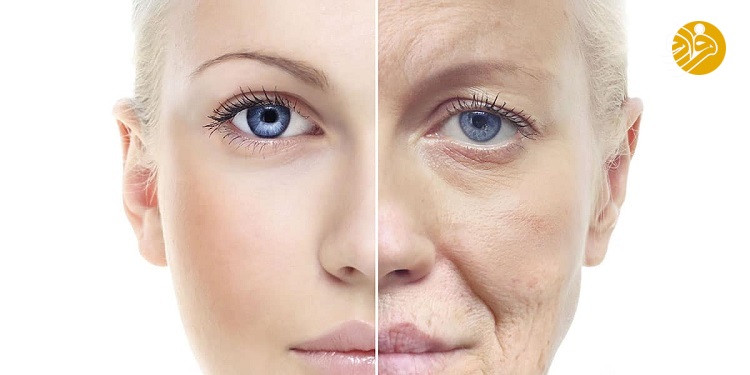 خواص انبه – میوه گرمسیری برای کاهش قند خون و تقویت کننده سلامت مغز خواص انبه – میوه گرمسیری برای کاهش قند خون و تقویت کننده سلامت مغز