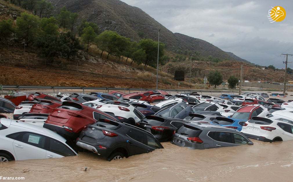(تصاویر)