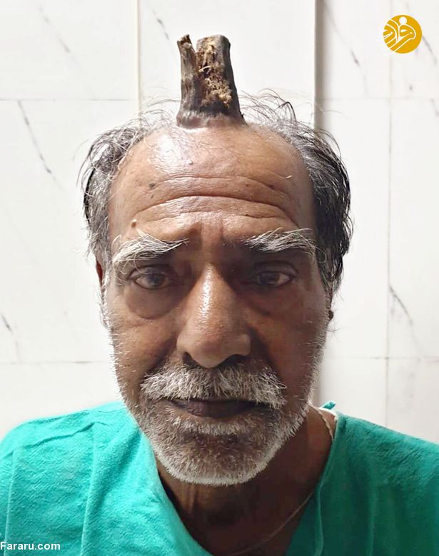(تصاویر)