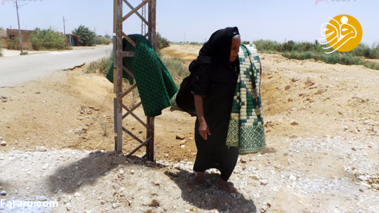 (تصاویر)