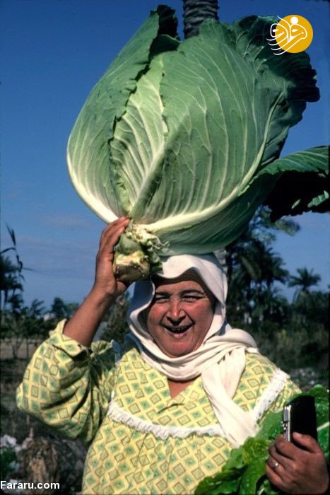 (تصاویر)