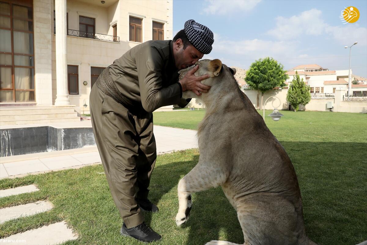 (تصاویر)