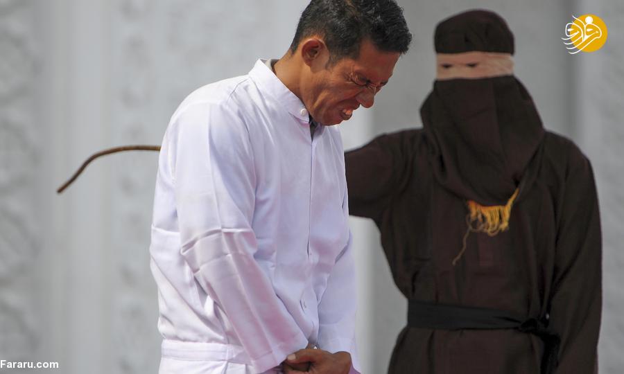 (تصاویر)