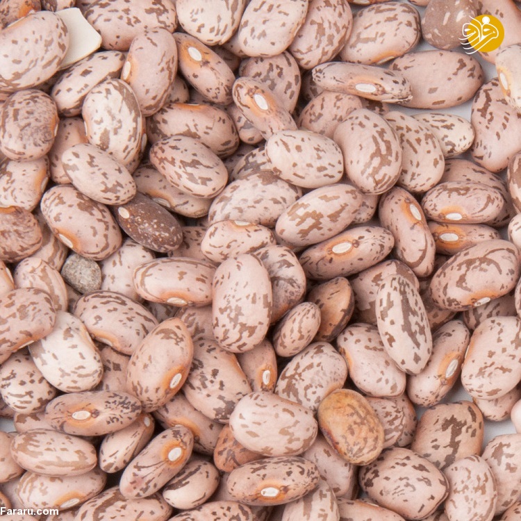معرفی ارزش غذایی و خواص لوبیا چیتی