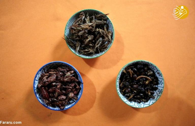 (تصاویر)