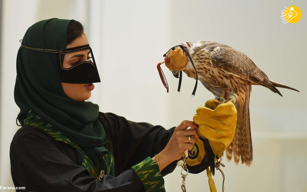 (تصاویر)