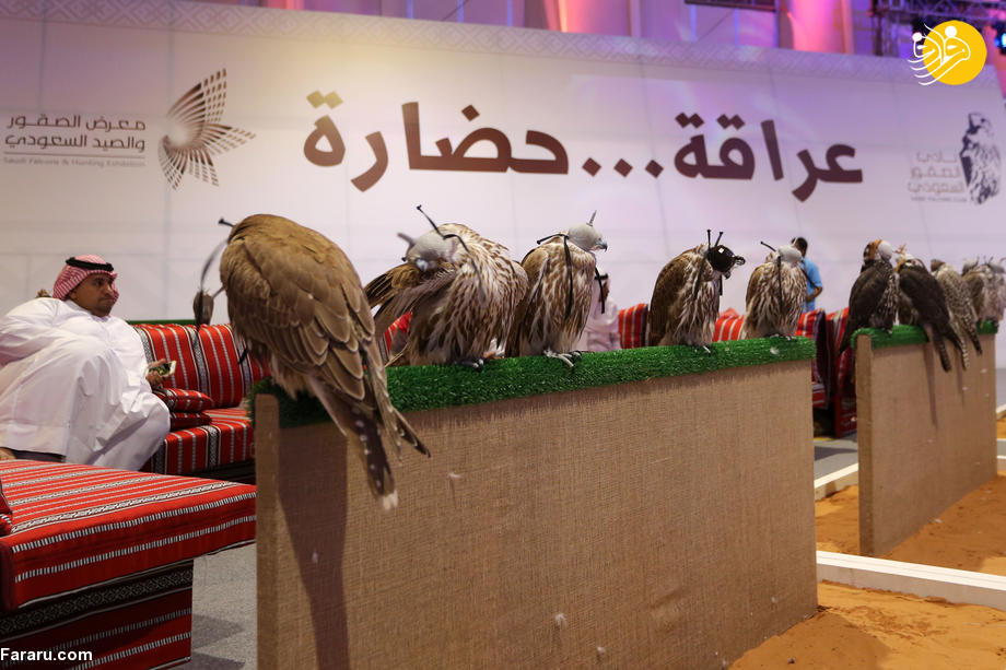 (تصاویر)