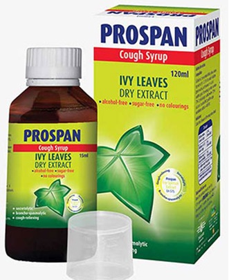 پاپیتال یا عشقه، از خواص درمانی تا تصفیه کننده هوا پاپیتال یا عشقه، از خواص درمانی تا تصفیه کننده هوا