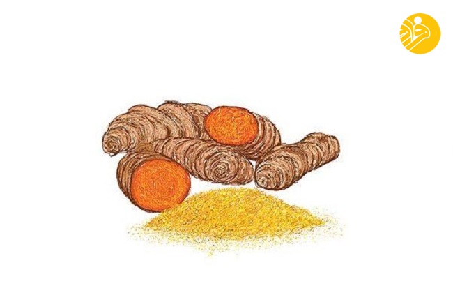 ۱۰ خوراکی مفید برای کاهش خطر ابتلا به بیماری آلزیمر ۱۰ خوراکی مفید برای کاهش خطر ابتلا به بیماری آلزیمر