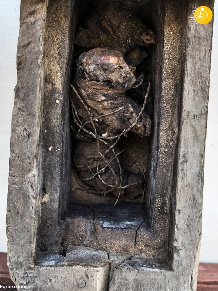 (تصاویر)